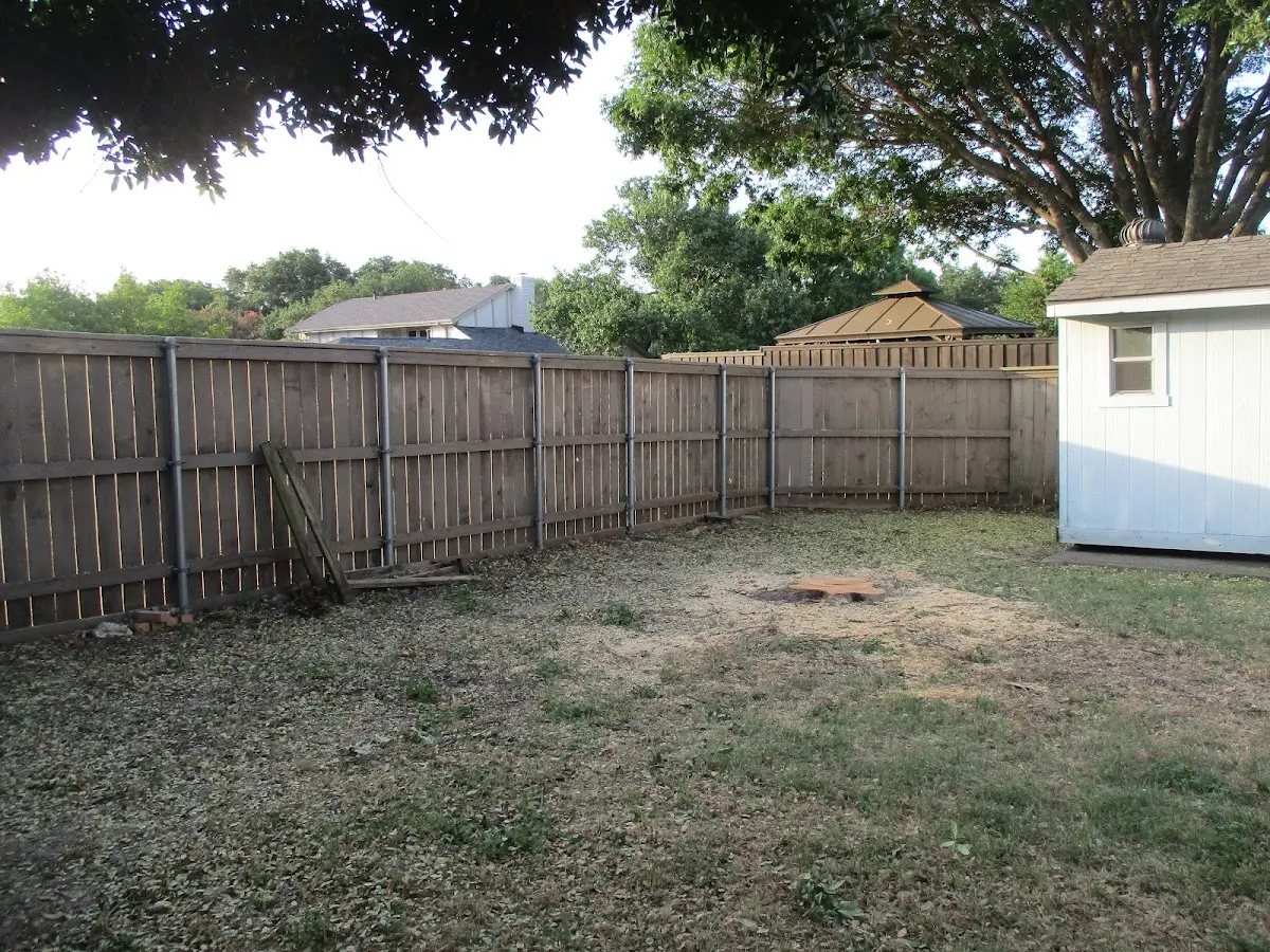 Cleared yard after professional tree removal in Mill Hall